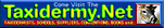 Taxidermy.net logo