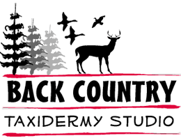 Back Country Taxidermy Studio Logo
